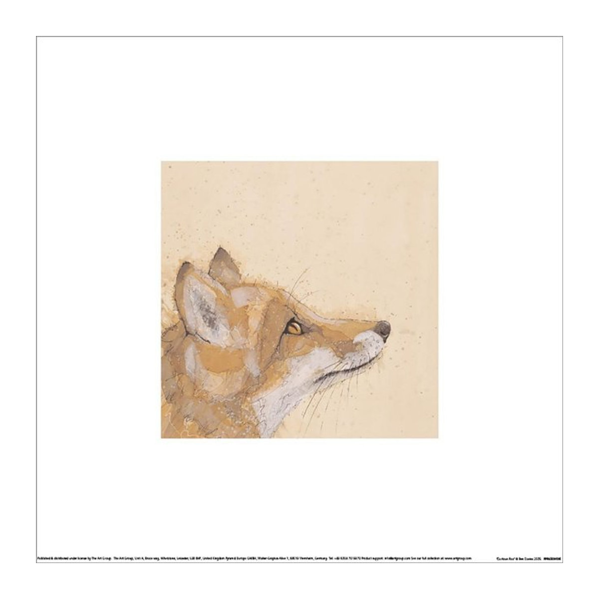 Bev Davies Kunstdruck Neugieriger Fuchs auf Papier, Breite: 30 cm, Höhe: 30 cm - Bild 1