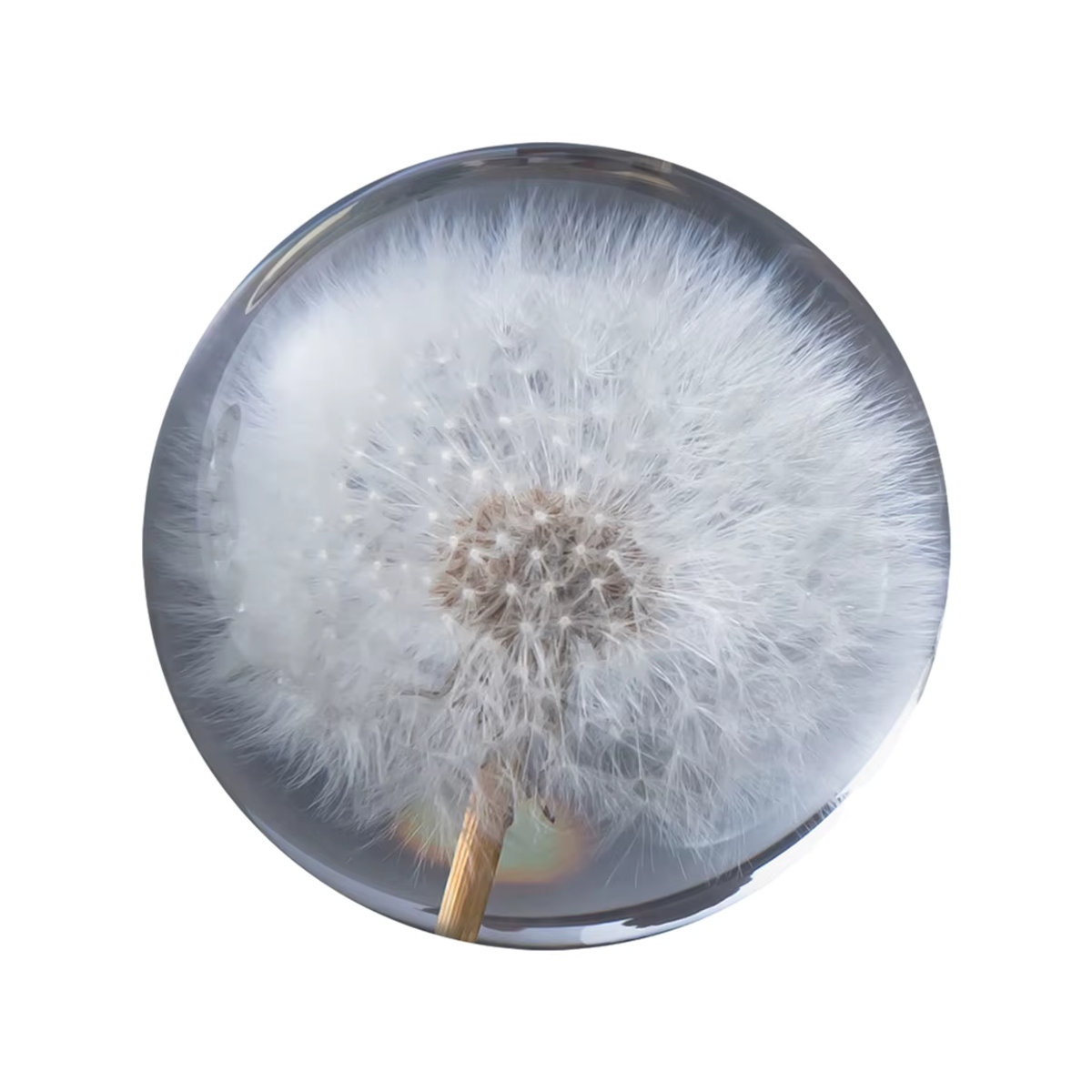 BGVfive Kristallkugel Löwenzahn Spieluhr aus Kunstharz und Glas, transparent, Durchmesser: 7-9 cm - Bild 6