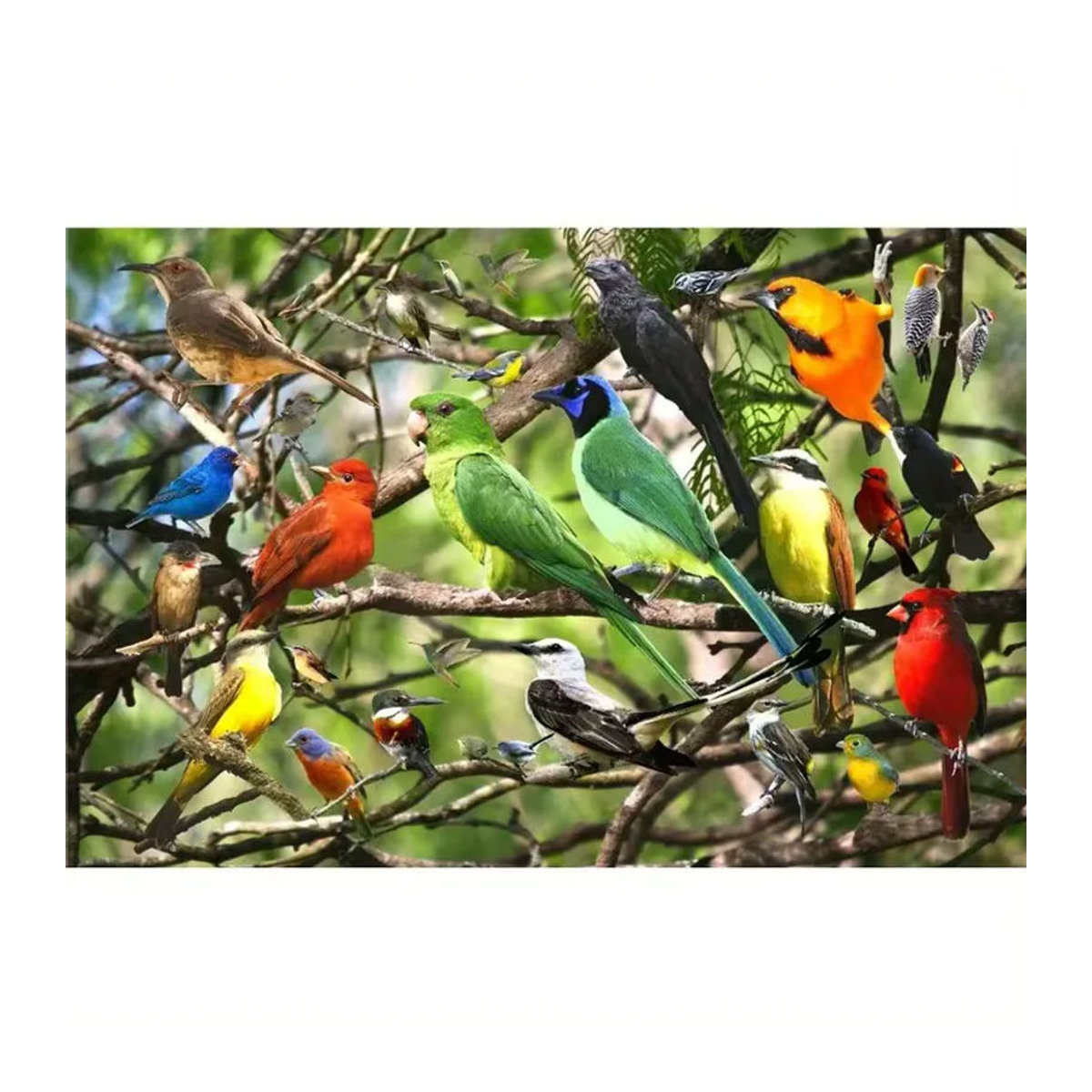 Bilibili 500-teiliges Papierpuzzle für Erwachsene mit buntem Tierprint der Vögel in Mehrfarbig - Bild 3