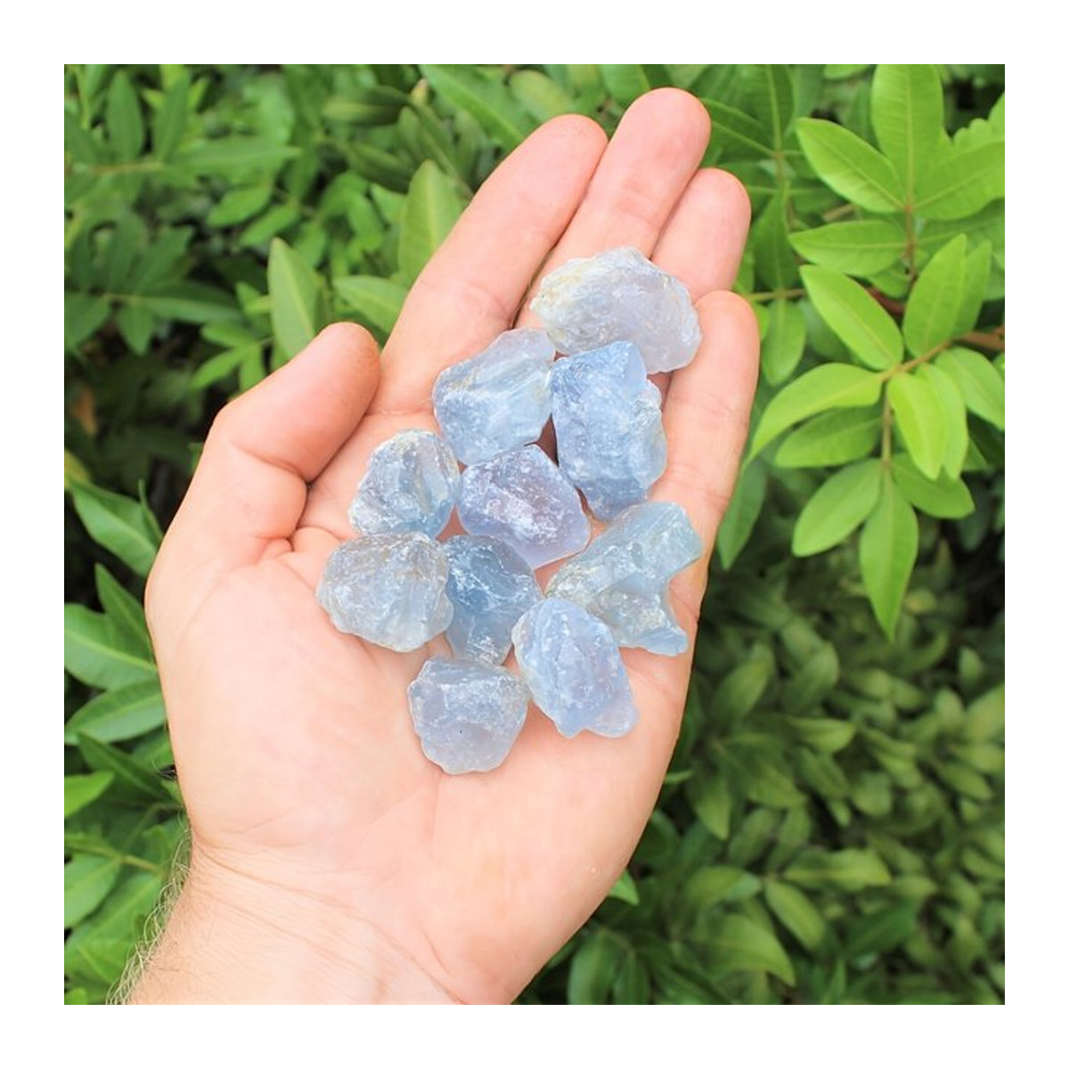 Blaue Celestit Rohsteine in unregelmäßiger Form, kleine Celestite Kristalle - Bild 1