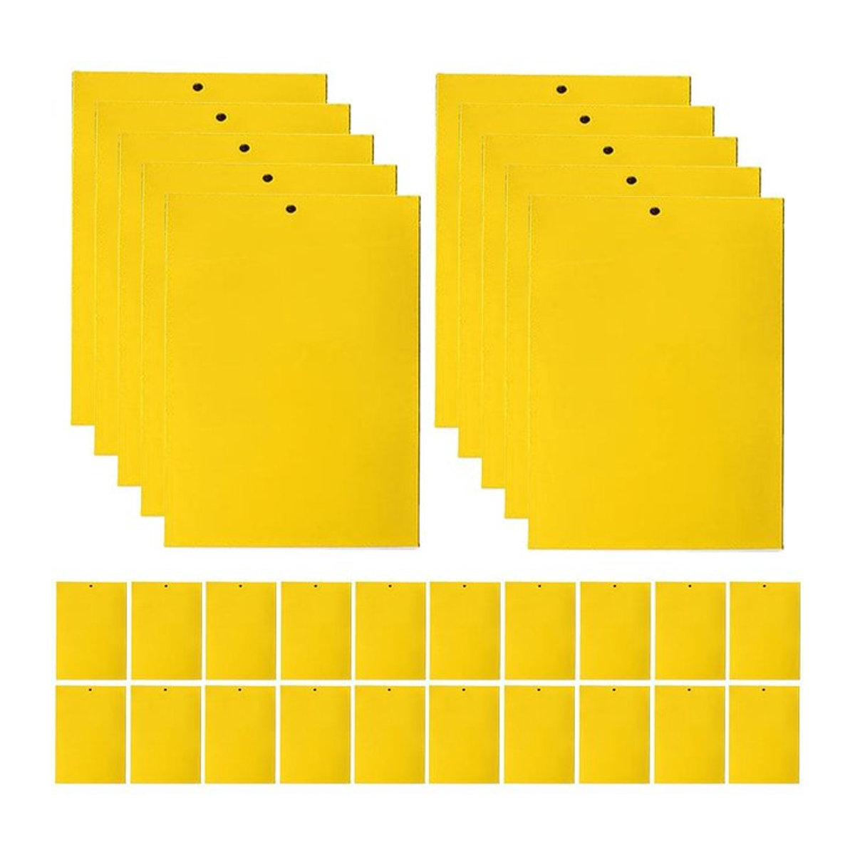 Bloom Habitat Klebrige Fallen Doppelseitig zur Bekämpfung von Fruchtfliegen, Mücken und Pflanzenschädlingen wie Weißen Fliegen und Blattläusen, 8 x 6 Zoll oder 8 x 4 Zoll - Bild 1
