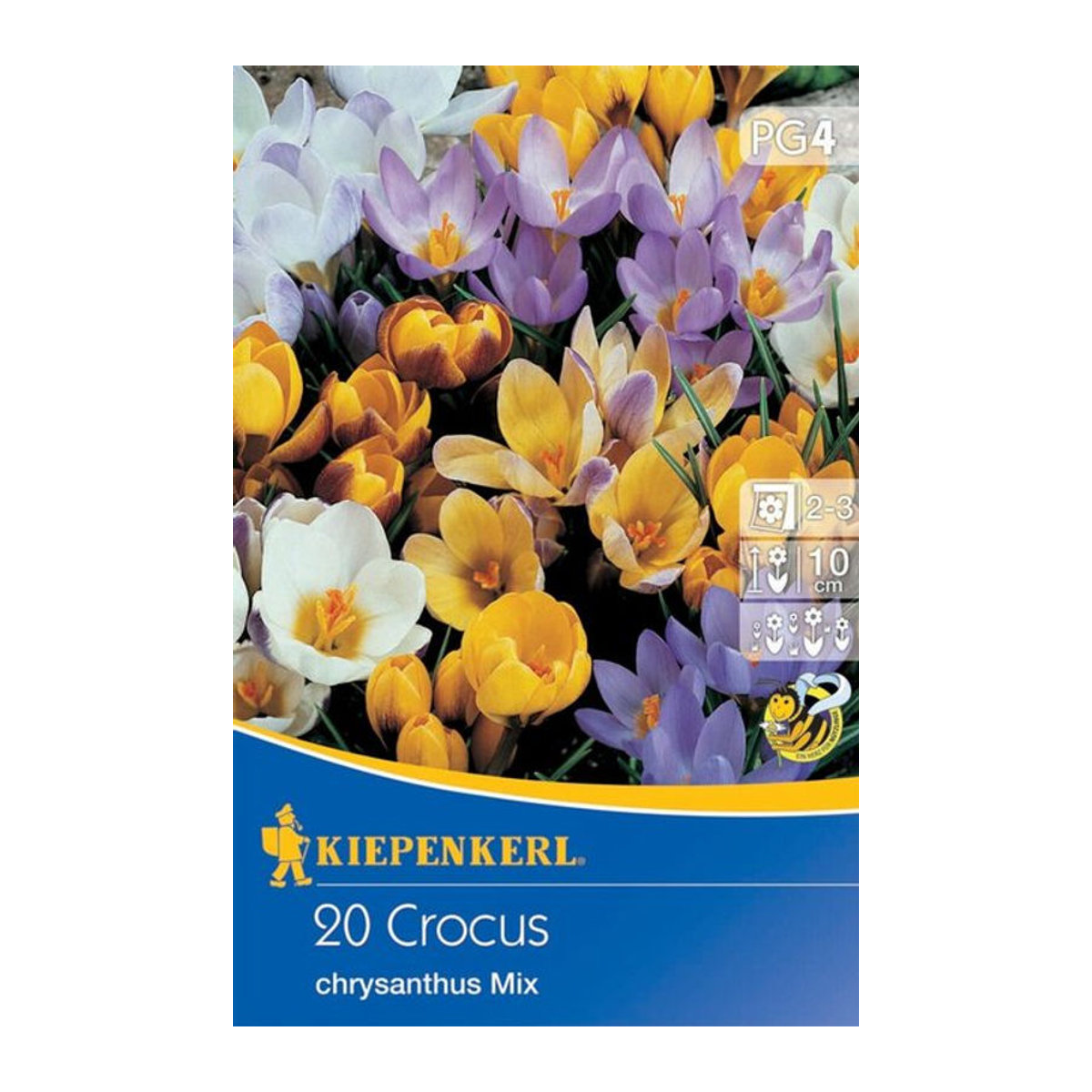 Botanische Krokus Mischung mit 20 bunten Zwiebeln von Mein schöner Garten Shop - Bild 1