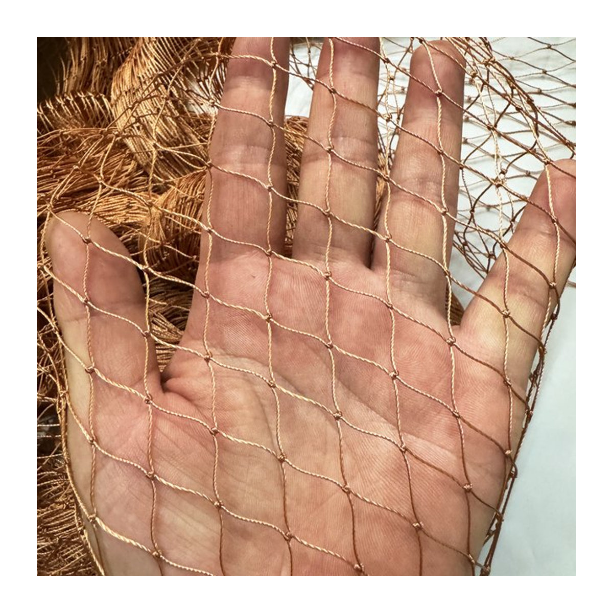 Braunes Nylonnetz als robustes Schutznetz für Obst, Gemüse und Vögel sowie als Hühnernetz für deinen Garten - Bild 1