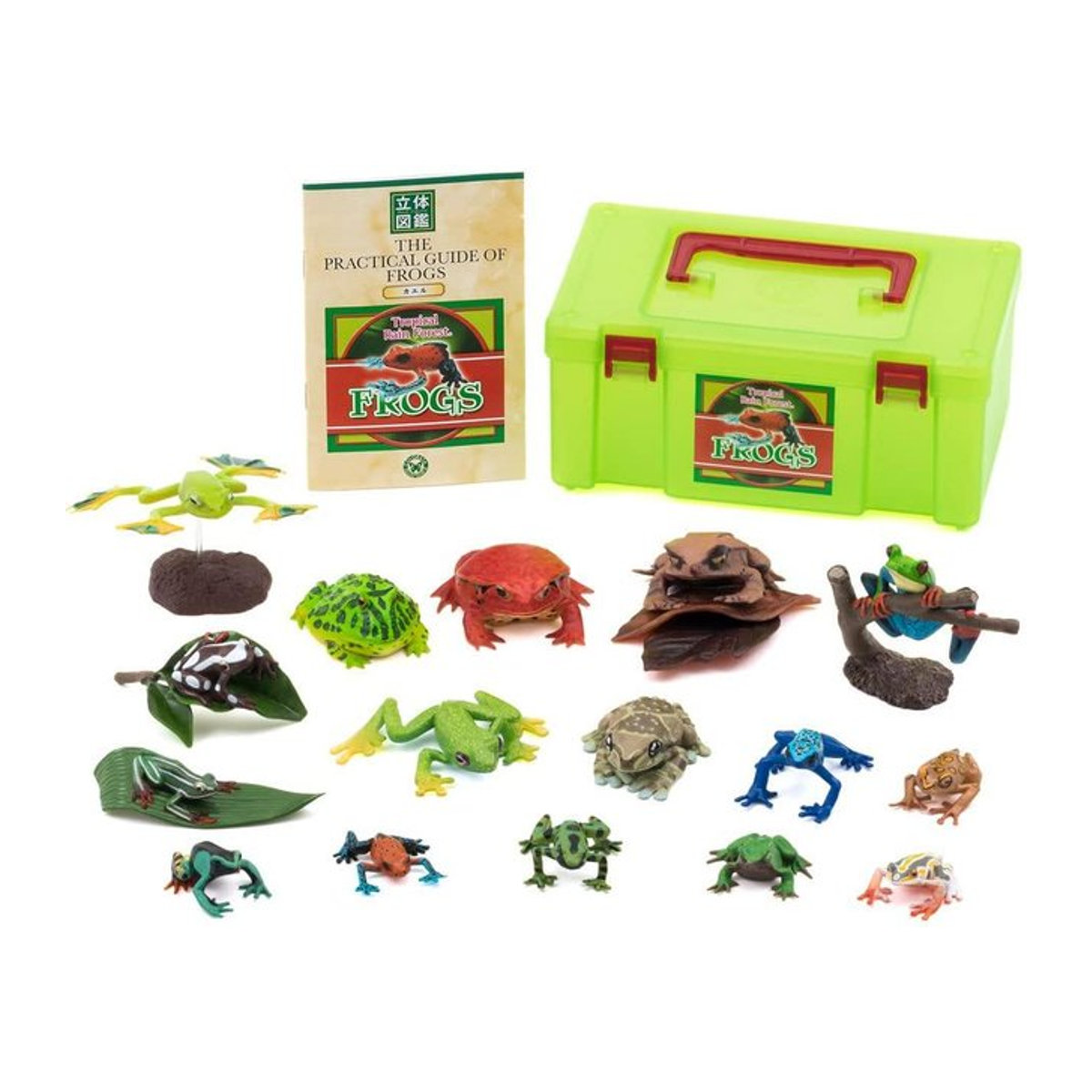 Calorata 3D Frosch Enzyklopädie mit 16 realistischen Tierfiguren in Multicolor als pädagogisches Spielzeug - Bild 1