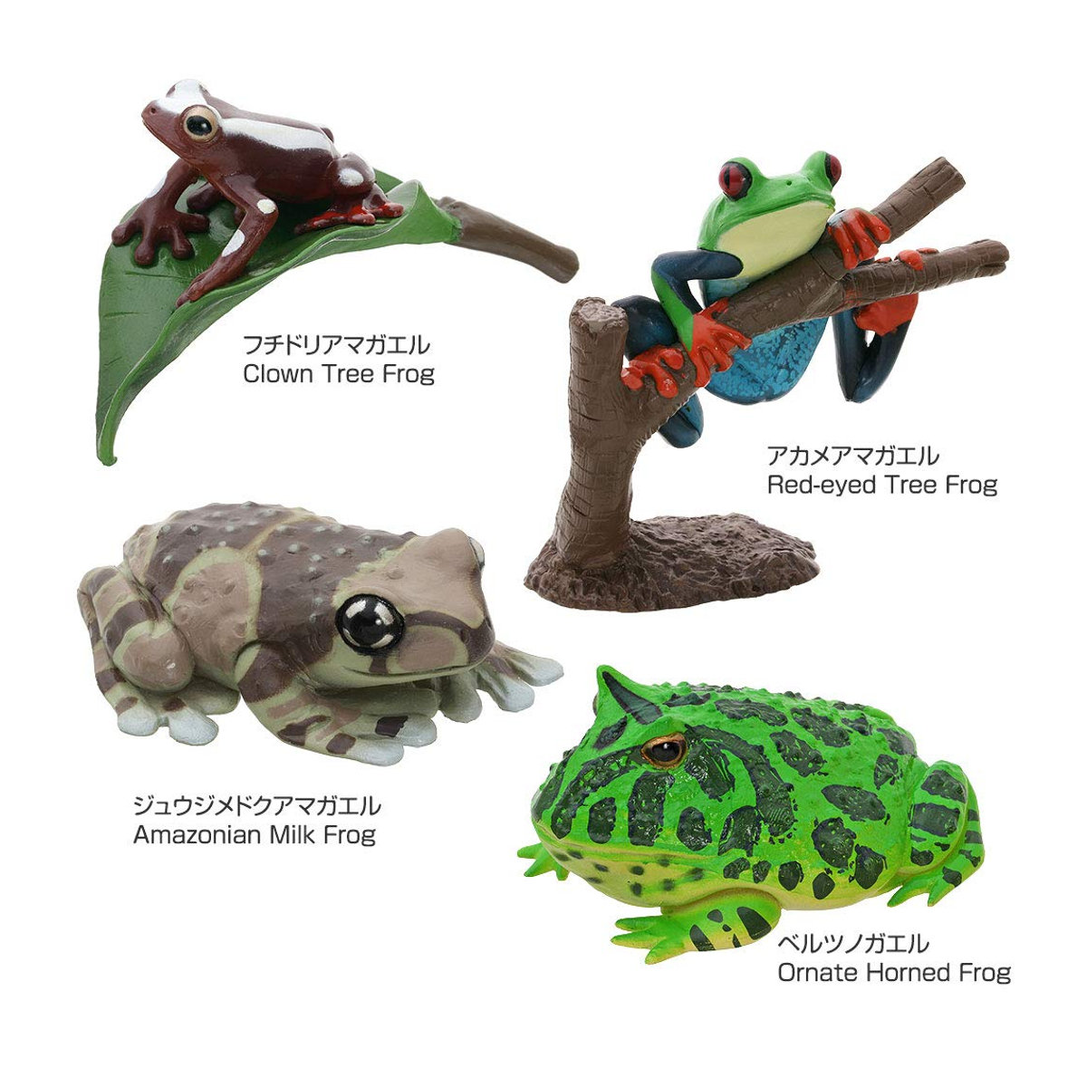 Calorata 3D Frosch Enzyklopädie mit 16 realistischen Tierfiguren in Multicolor als pädagogisches Spielzeug - Bild 2