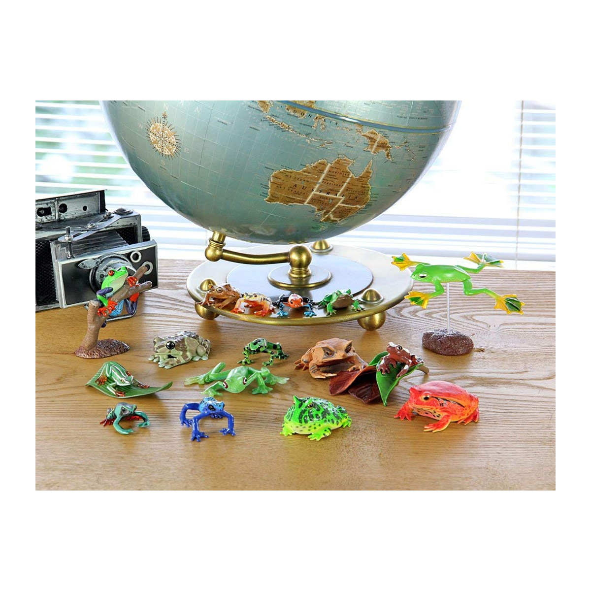 Calorata 3D Frosch Enzyklopädie mit 16 realistischen Tierfiguren in Multicolor als pädagogisches Spielzeug - Bild 3