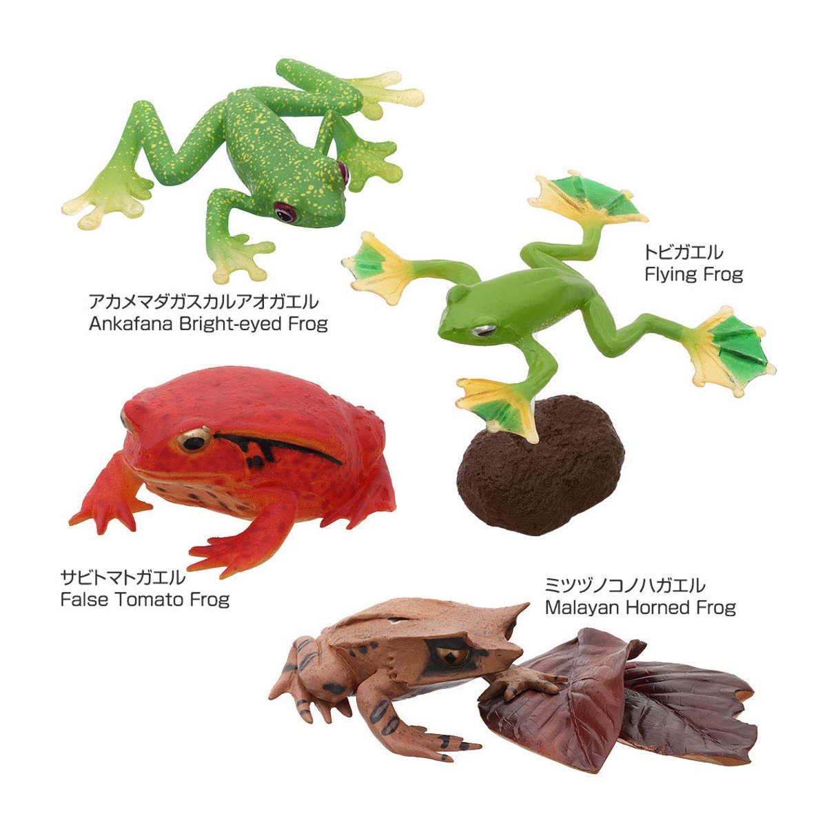 Calorata 3D Frosch Enzyklopädie mit 16 realistischen Tierfiguren in Multicolor als pädagogisches Spielzeug - Bild 4