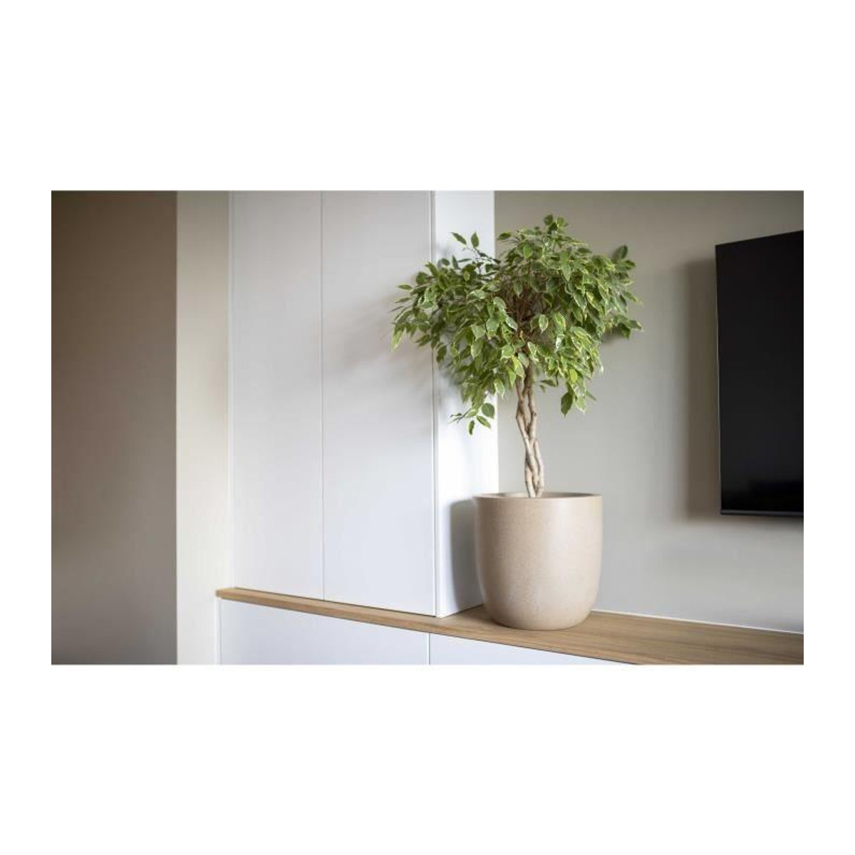 CAPI EUROPE Blumentopf WASTE SMOOTH NL in Terrazzo Beige, kugelförmig, Durchmesser: 35 cm, Höhe: 34 cm - Bild 2