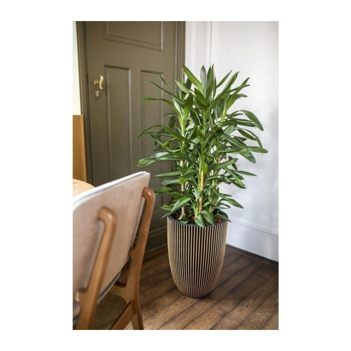 CAPI EUROPE Elegante Vase GROOVE in Schwarz und Gold, B/T/H: 34 x 34 x 46 cm - Bild 2