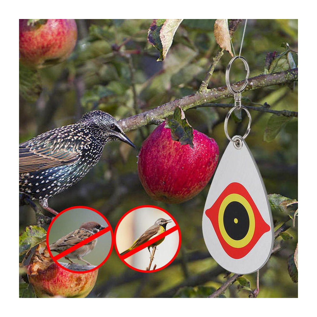 CosyHome 5er Set Reflektierende Vogelabwehr Ornamente mit Augenmuster in Bunt für Garten und Balkon - Bild 4