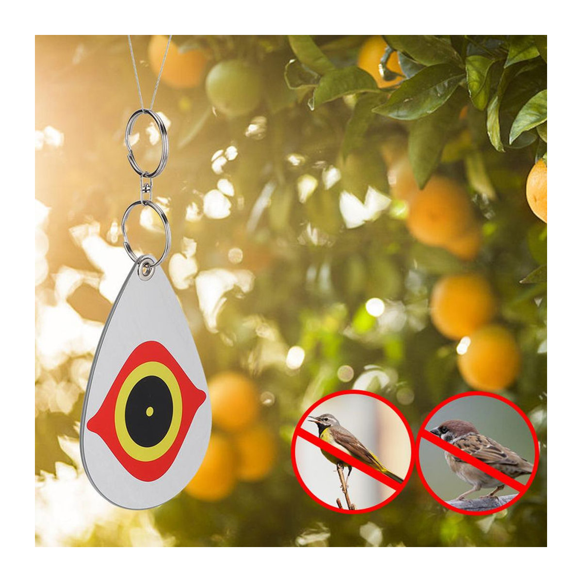 CosyHome 5er Set Reflektierende Vogelabwehr Ornamente mit Augenmuster in Bunt für Garten und Balkon - Bild 5