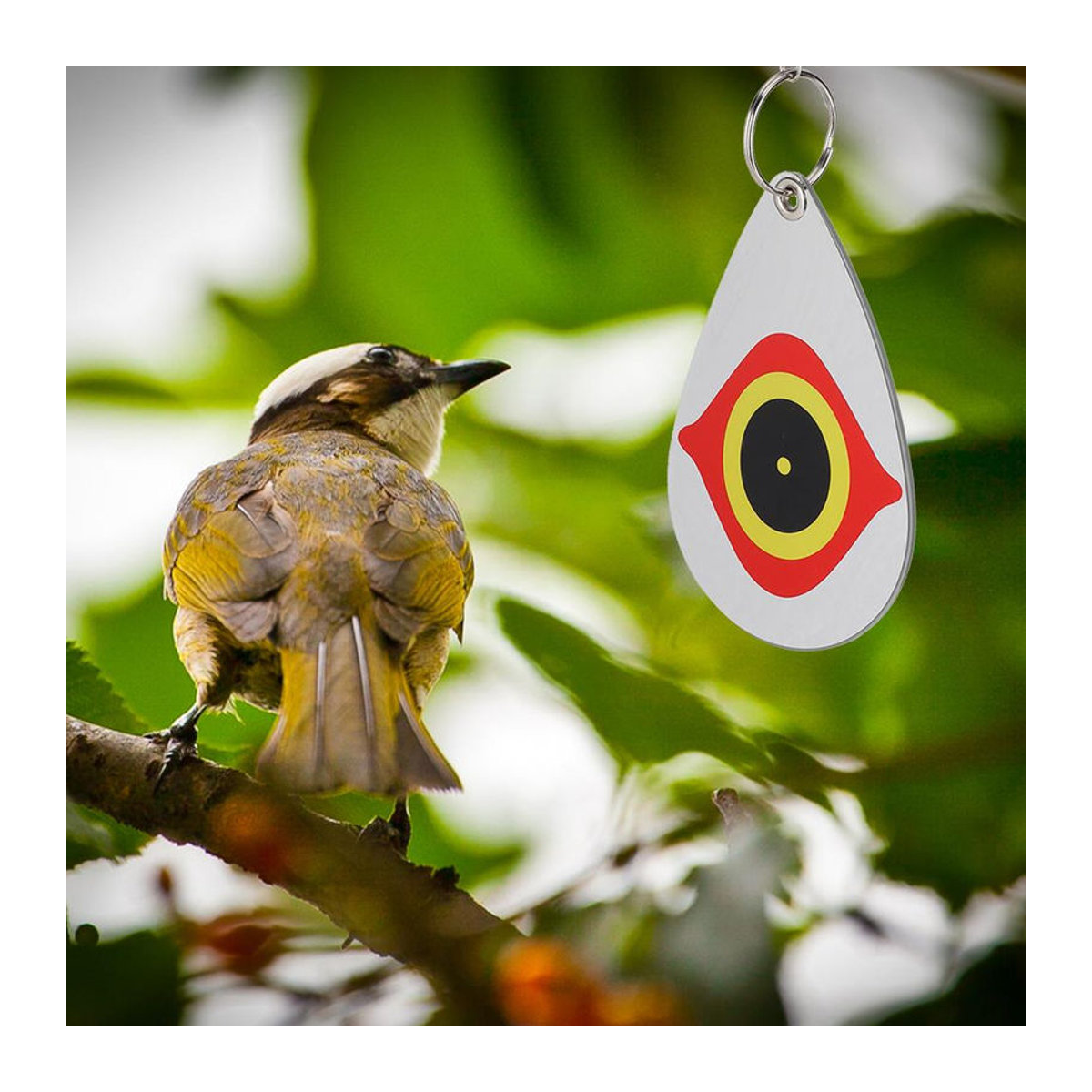 CosyHome 5er Set Reflektierende Vogelabwehr Ornamente mit Augenmuster in Bunt für Garten und Balkon - Bild 6