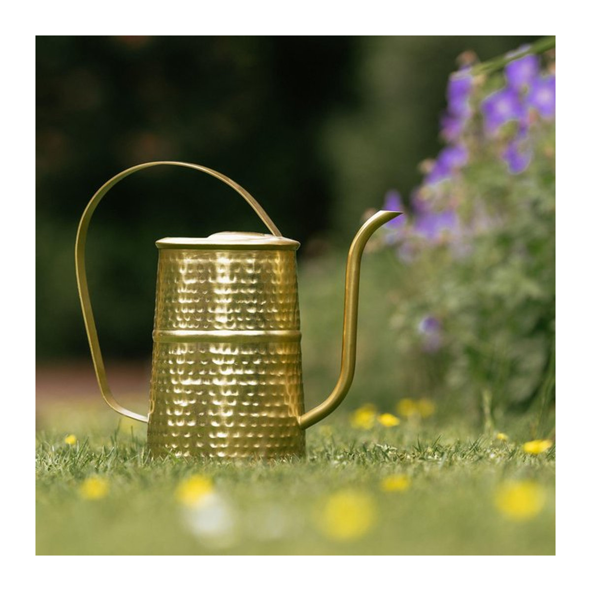 Country Living Gießkanne in Gold, One Size - Bild 1