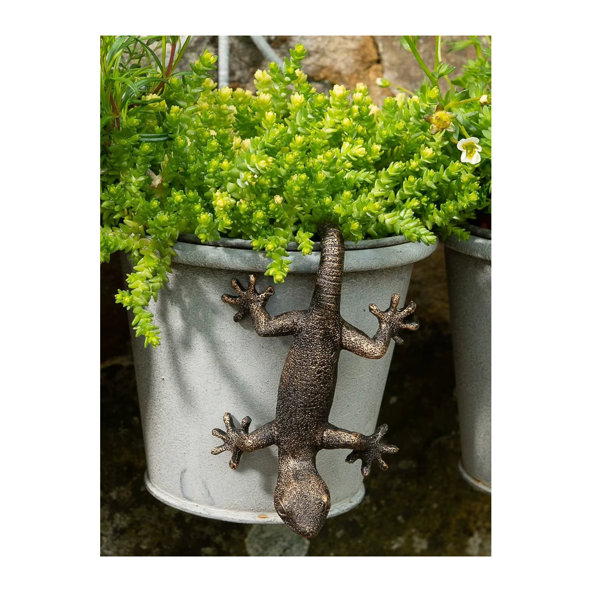 Dekorative Gecko Pflanzfigur als hängendes Gartenornament für Terrasse und Hof - Bild 3