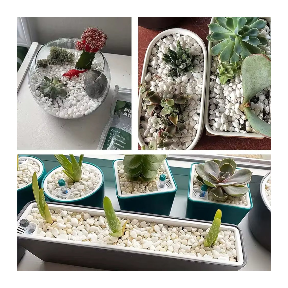 Dekorative weiße Kieselsteine für Bonsai und Aquarien, 100 g - Bild 3