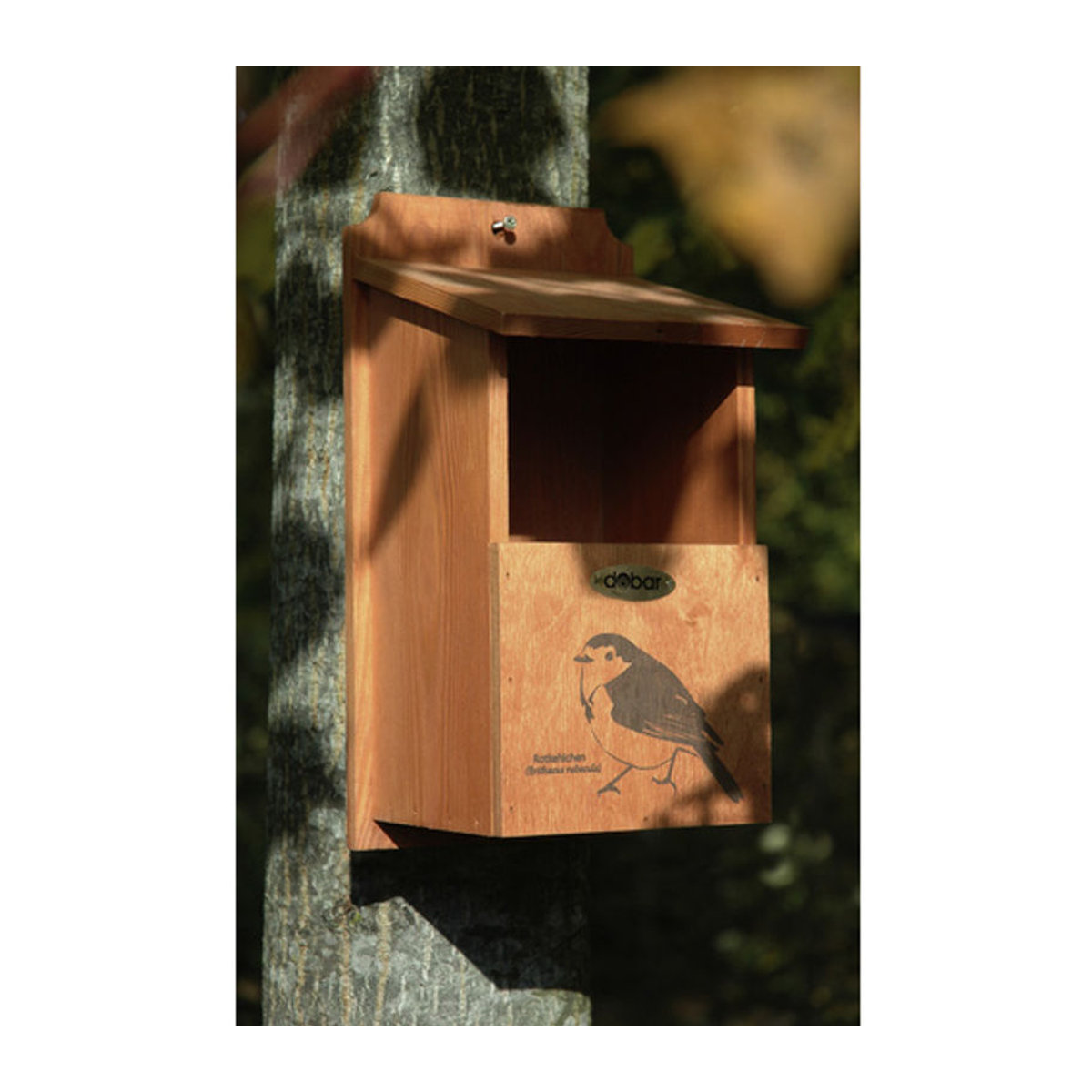 DOBAR Nistkasten aus Kiefernholz in Braun, B/H/T: 18 x 32 x 17 cm - Bild 4