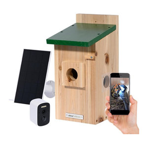 dobar Nistkasten EAZY Flachdach aus Holz mit WiFi Kamera und Solar-Panel, Grün, B/T/H: 20 x 14 x 32 cm