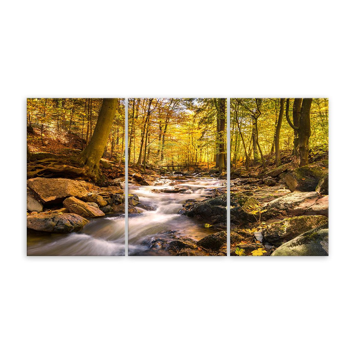 Dreiteiliger Leinwanddruck Feeby Herbstwald mit Gebirgsbach in Orange, B/H: 60 x 40 cm - Bild 3