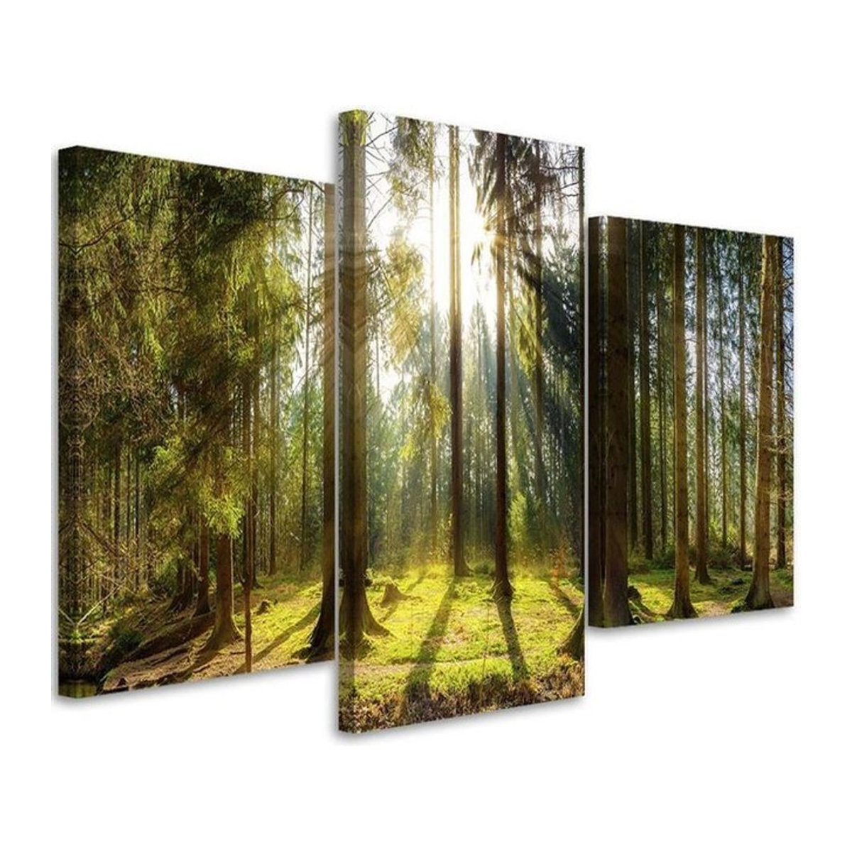 Dreiteiliger Leinwanddruck Feeby Wald Natur Landschaft Sonnenstrahlen in Grün, B/H: 60 x 40 cm - Bild 1