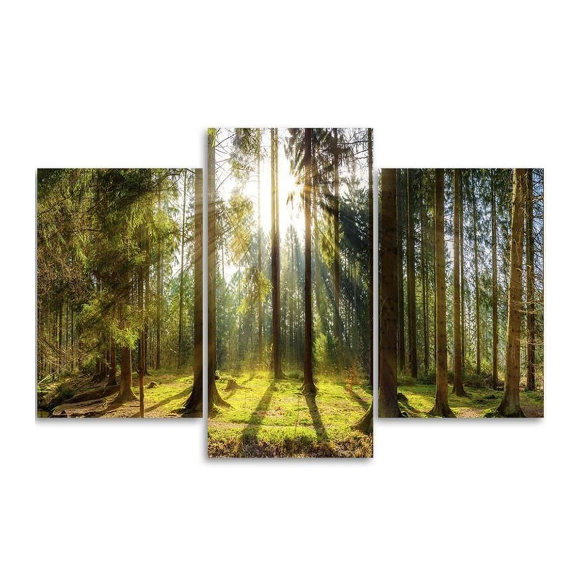 Dreiteiliger Leinwanddruck Feeby Wald Natur Landschaft Sonnenstrahlen in Grün, B/H: 60 x 40 cm - Bild 2