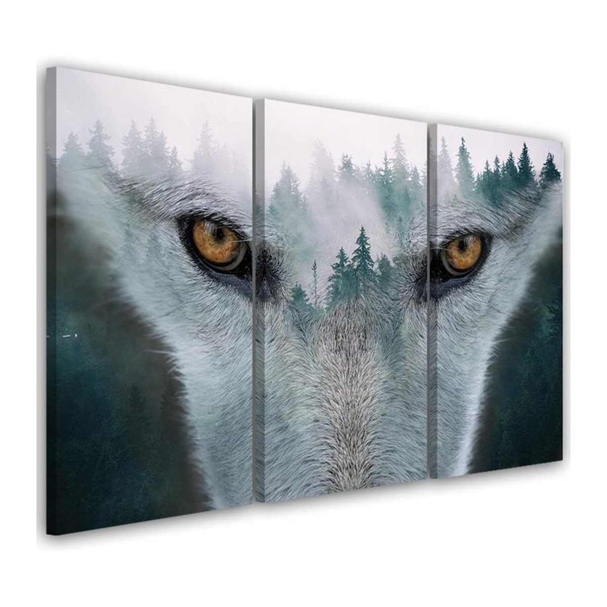 Dreiteiliger Leinwanddruck Feeby Wolf Forest Fog Nature Trees in Grau, B: 60 cm, H: 60 cm, T: 2 cm - Bild 1