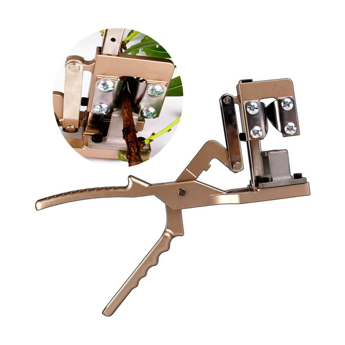 Drtools Pfropfmaschine für Obst und Gemüse als Pfropfwerkzeug und Veredelungsschere - Bild 2