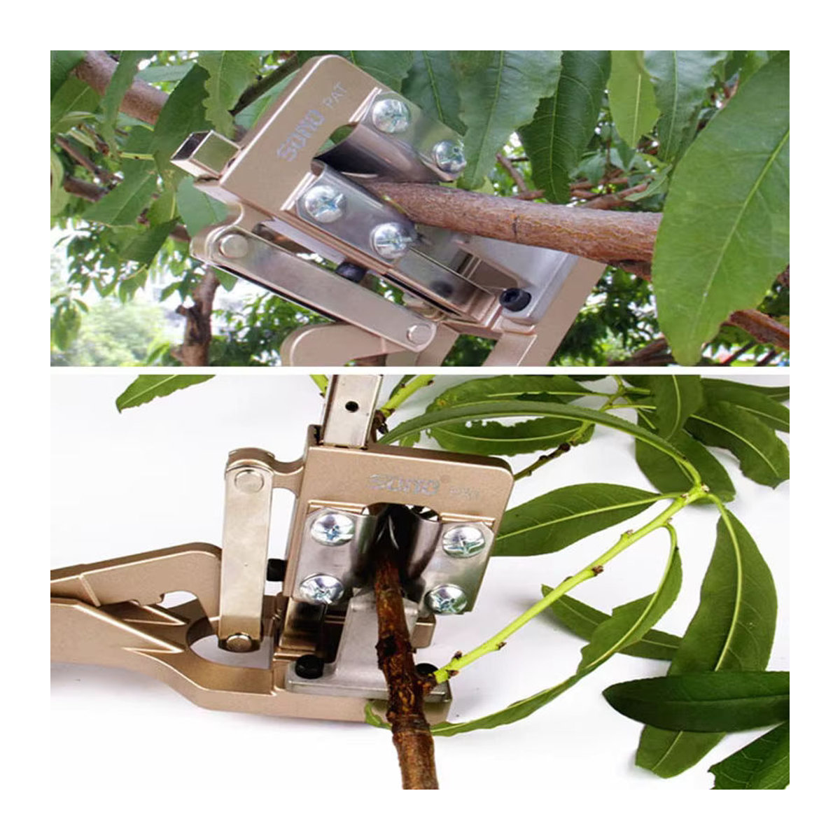 Drtools Pfropfmaschine für Obst und Gemüse als Pfropfwerkzeug und Veredelungsschere - Bild 6