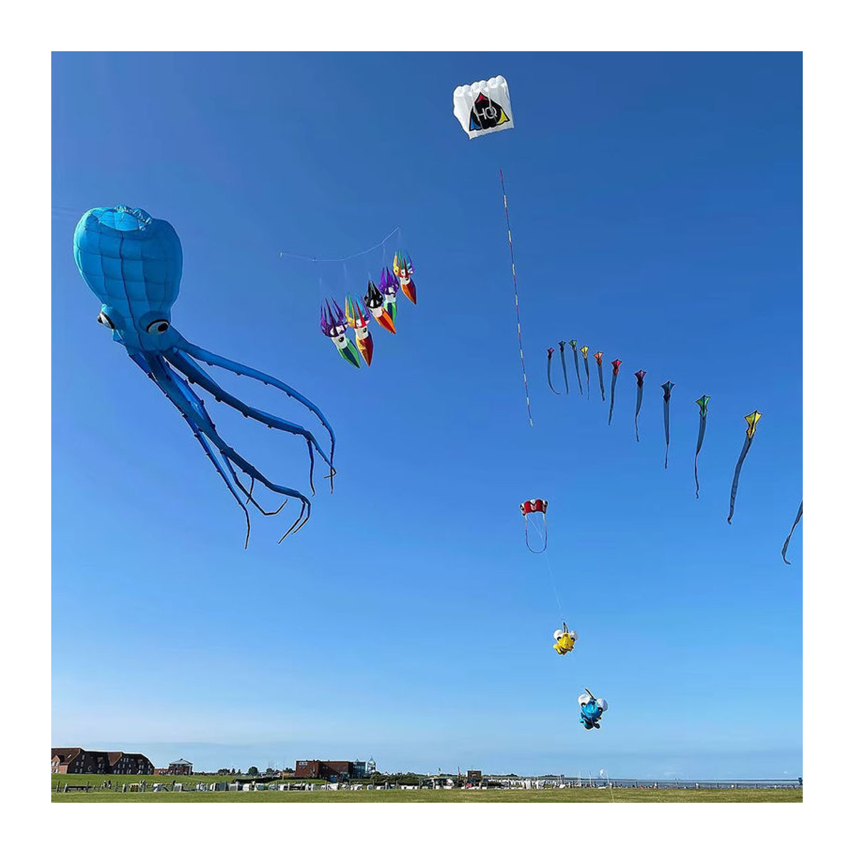DWLIFE Tintenfisch-Drachen Aufblasbarer Show-Drachen aus buntem 30D-Ripstop-Nylongewebe für Kite Festivals - Bild 2