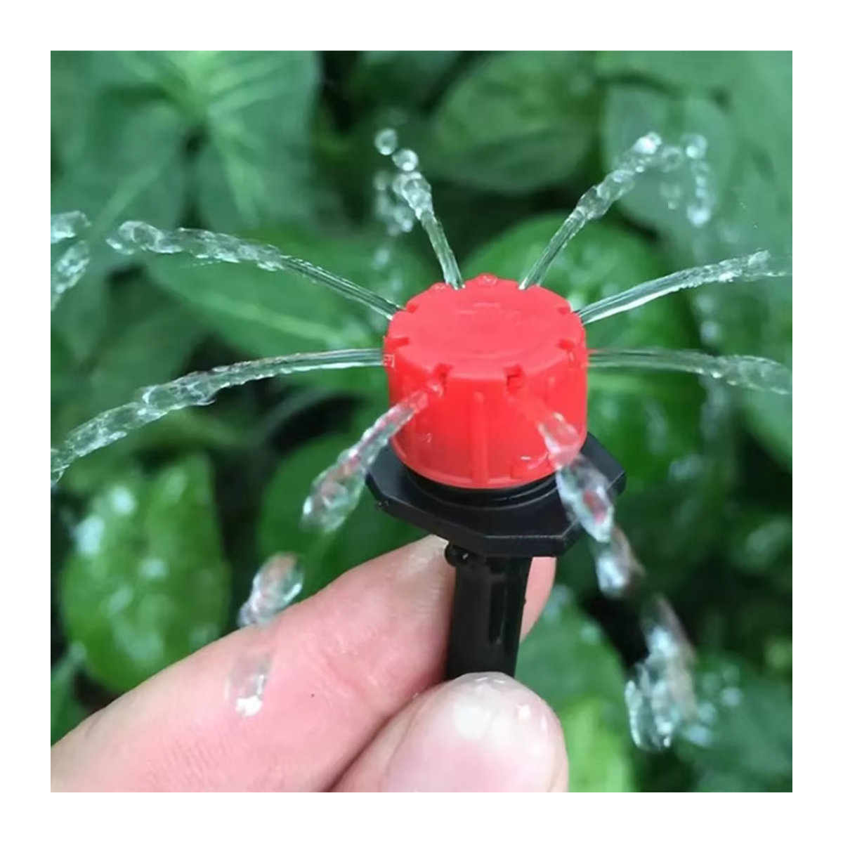 Einstellbarer Mikrotropfbewässerungssprinkler Gushing Dripper von pengliu mit 1/4 Zoll Anschluss - Bild 3