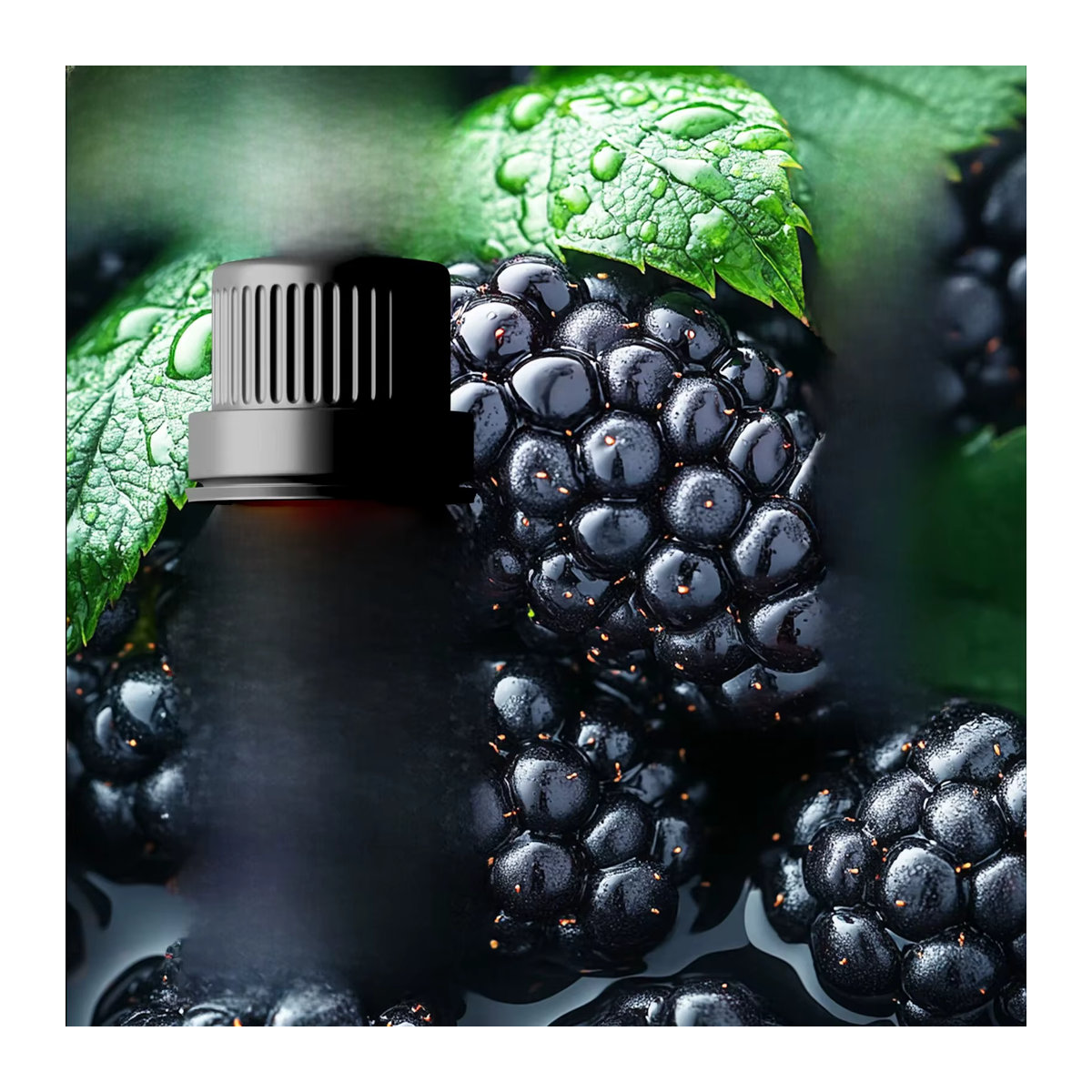 EMBRACEX Blackberry Ätherisches Öl 10 ml für Parfüm und Seifenherstellung - Bild 4