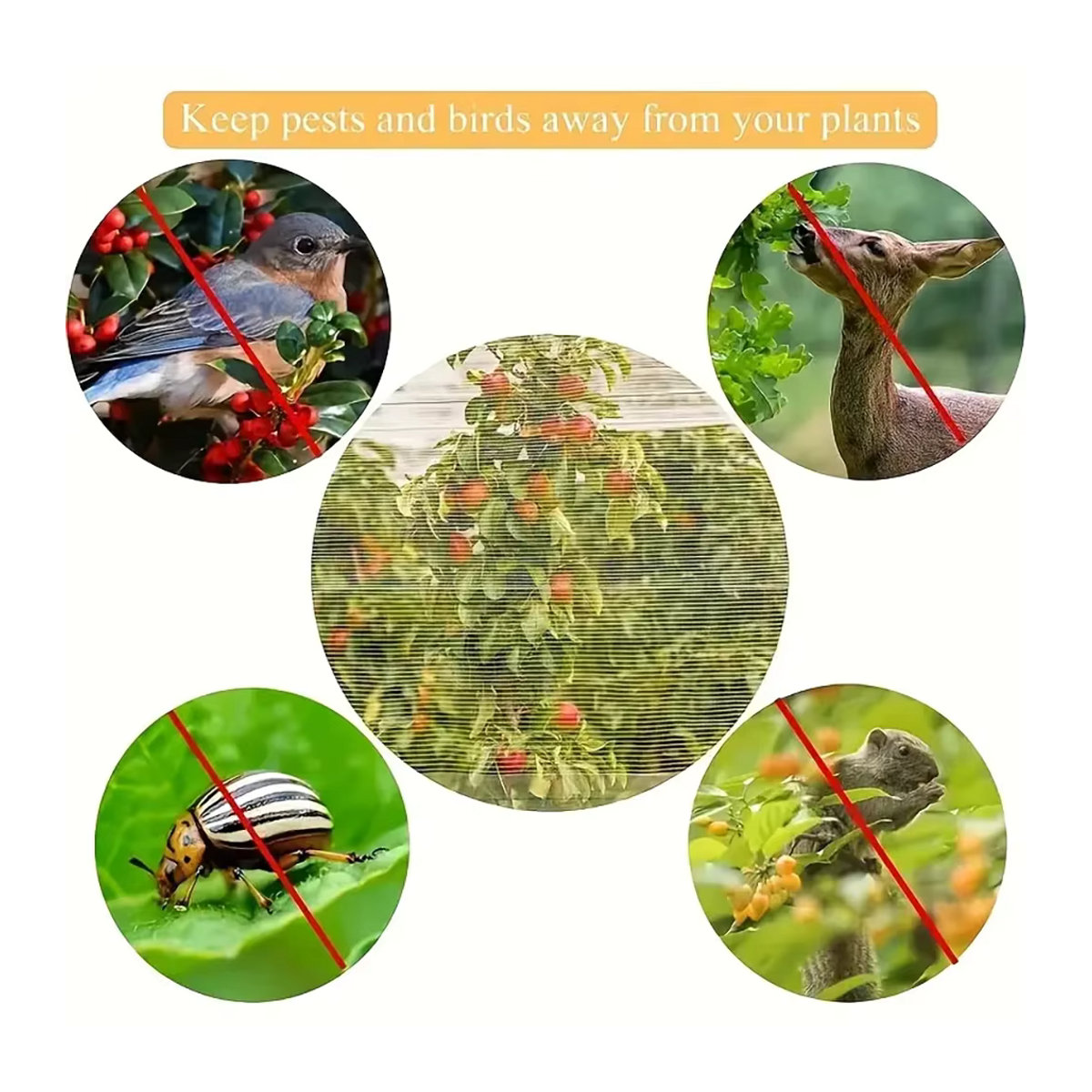 Extra dickes Gartennetz aus PE-Material mit Kordelzug und Reißverschluss als Insekten- und Vogelschutz für Obst, Zitrusfrüchte und Blumen - Bild 5