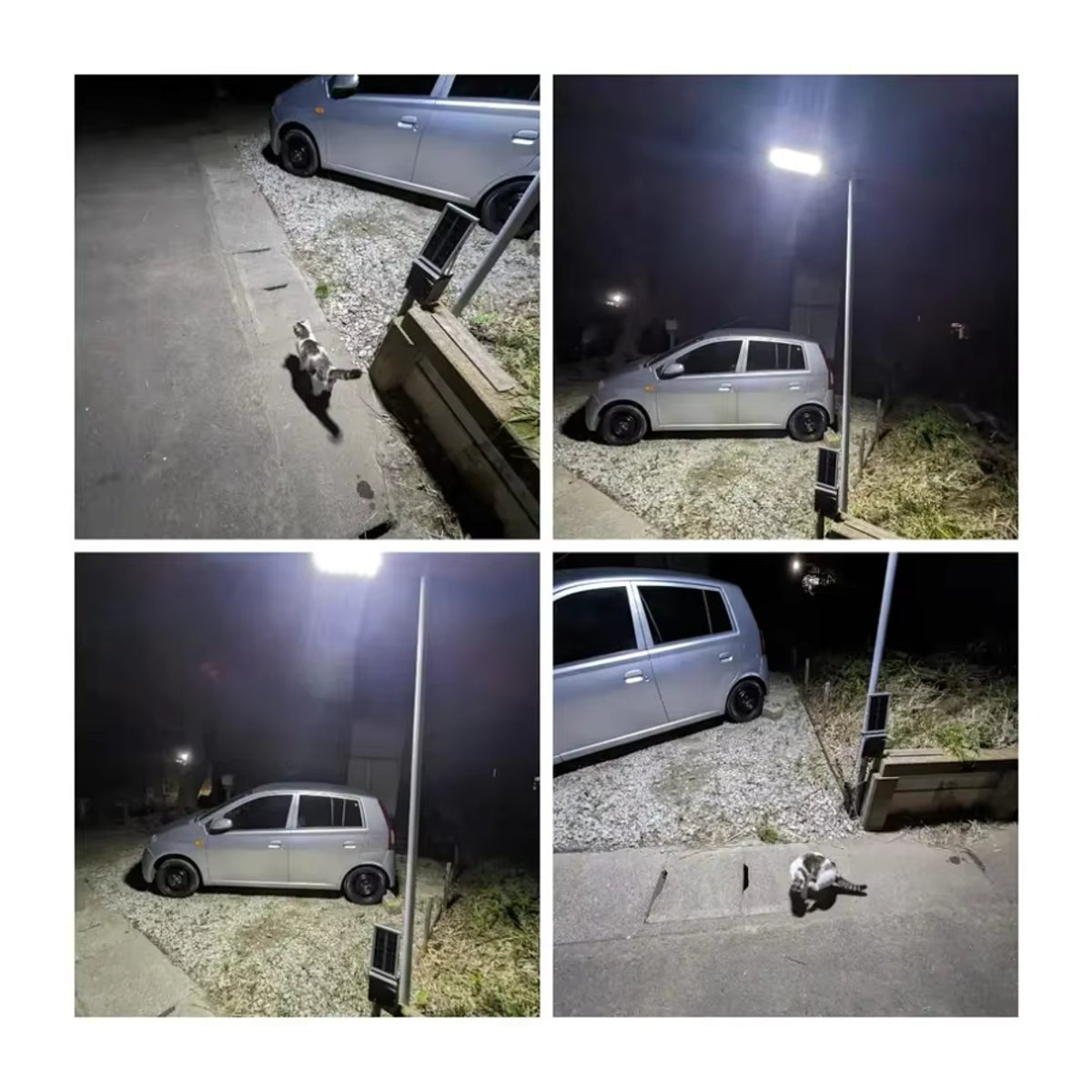 FAMCDC LED Solar Außenstrahler 250 W mit 8000 lm, wasserdichter LED Flutlichter in Schwarz mit Bewegungsmelder und Fernbedienung für Garten und Hof - Bild 4