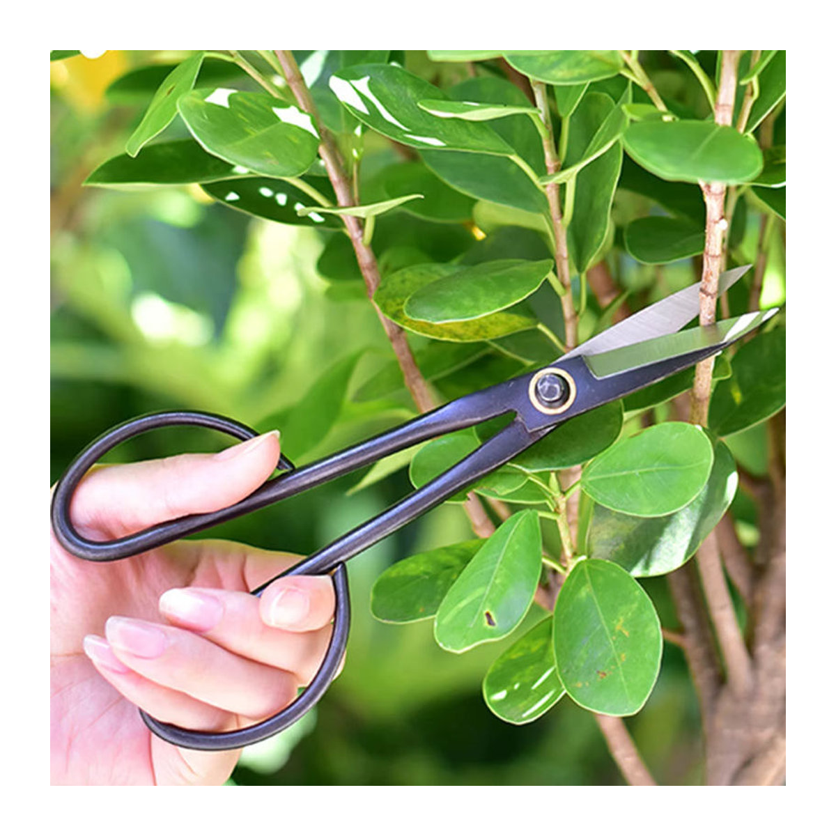 FATCOOL Bonsai-Gartenschere mit langem Griff in Schwarz für Anfänger zum Trimmen von Pflanzen und Ästen - Bild 5