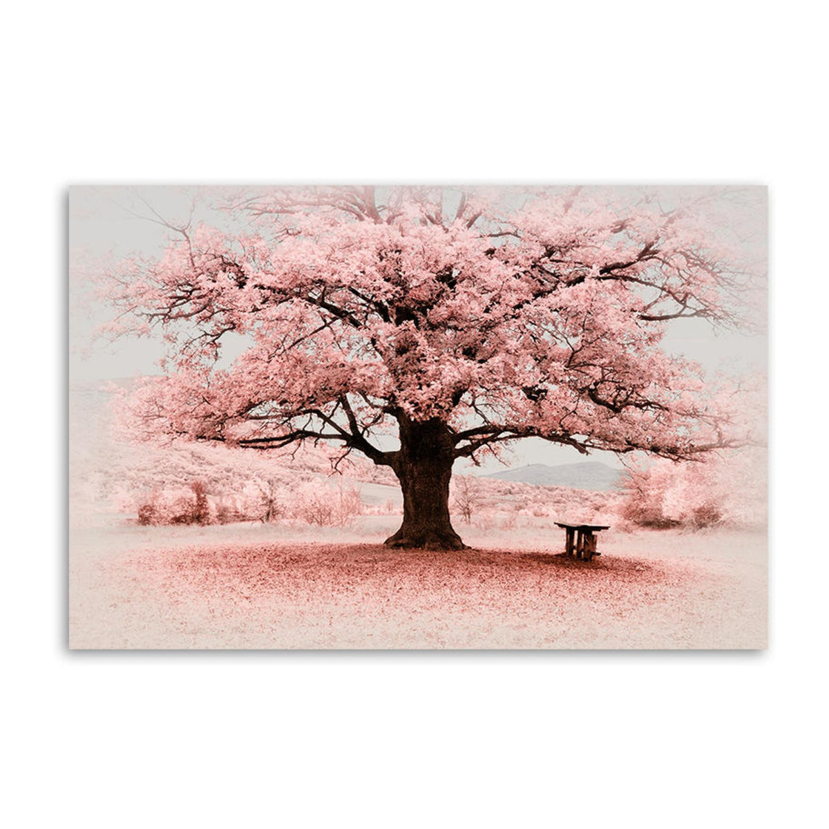 Feeby Leinwandbild Abstrakt Rosa Baum Landschaft Querformat B: 60 cm, H: 40 cm - Bild 3