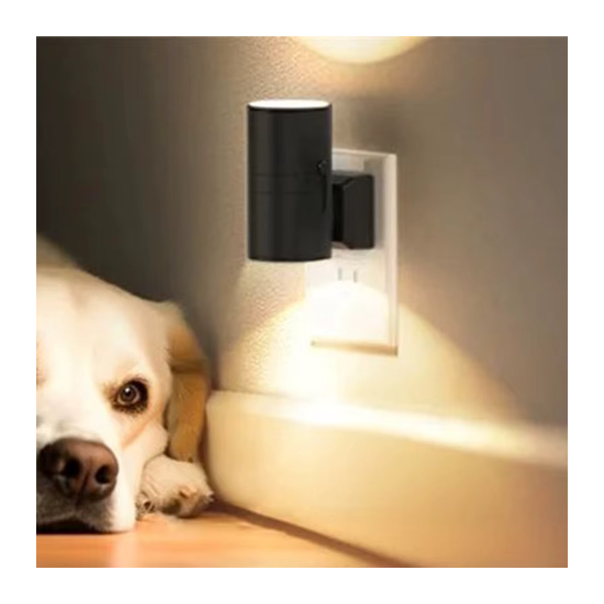 Feimefeiyou Moderne Zylindrische LED-Wandleuchte Plug-In in Schwarz - Bild 3