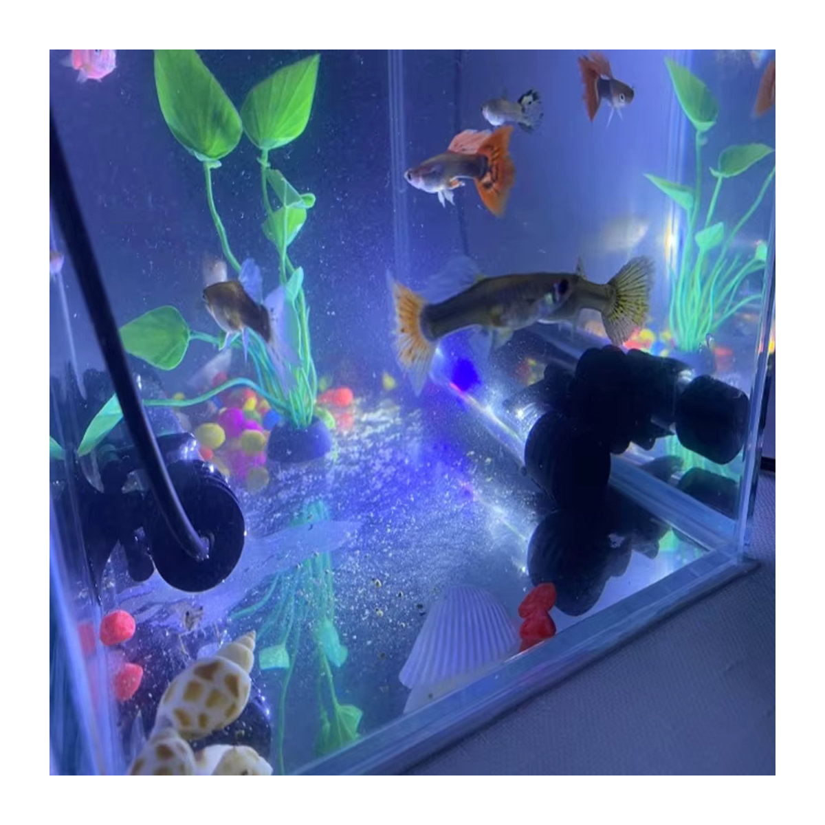 Findixpet LED Aquarium Licht Unterwasser Beleuchtung Wasserdicht mit USB Stecker, Höhe: 18-58 cm - Bild 6