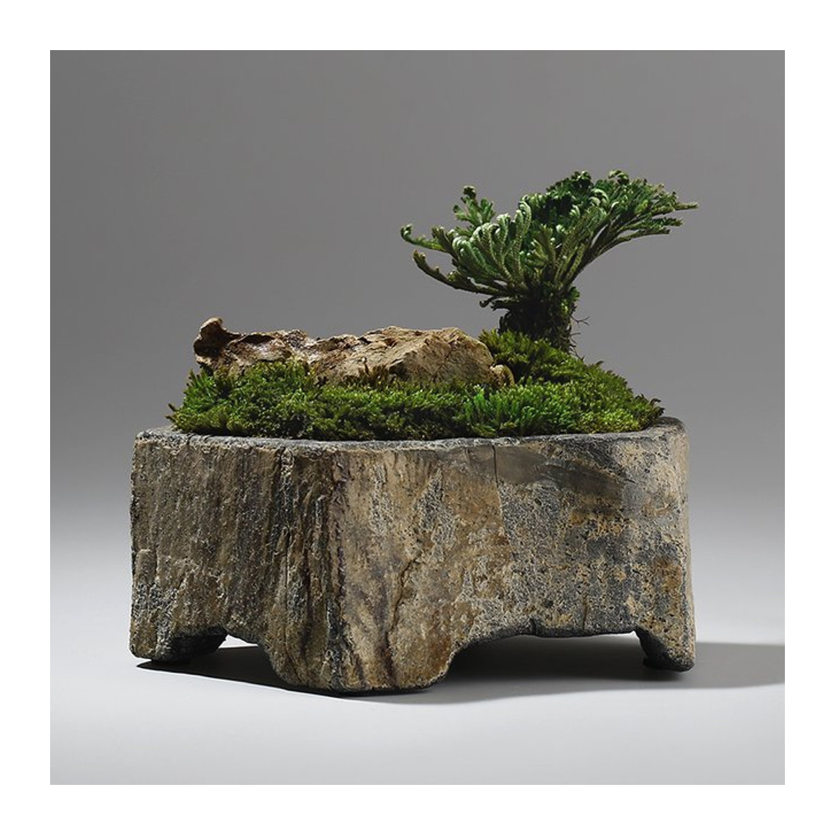 Fiteo Basalt Naturstein-Blumentopf handgefertigtes Sukkulenten-Pflanzgefäß für Innen- und Außenbereich - Bild 1