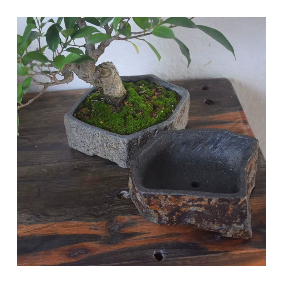 Fiteo Basalt Naturstein-Blumentopf handgefertigtes Sukkulenten-Pflanzgefäß für Innen- und Außenbereich - Bild 3