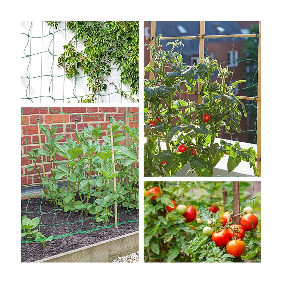 Flexibles Klettergitter Netz für Gartenpflanzen, Obst und Gemüse zur Unterstützung von Reben und Kletterpflanzen - Bild 3