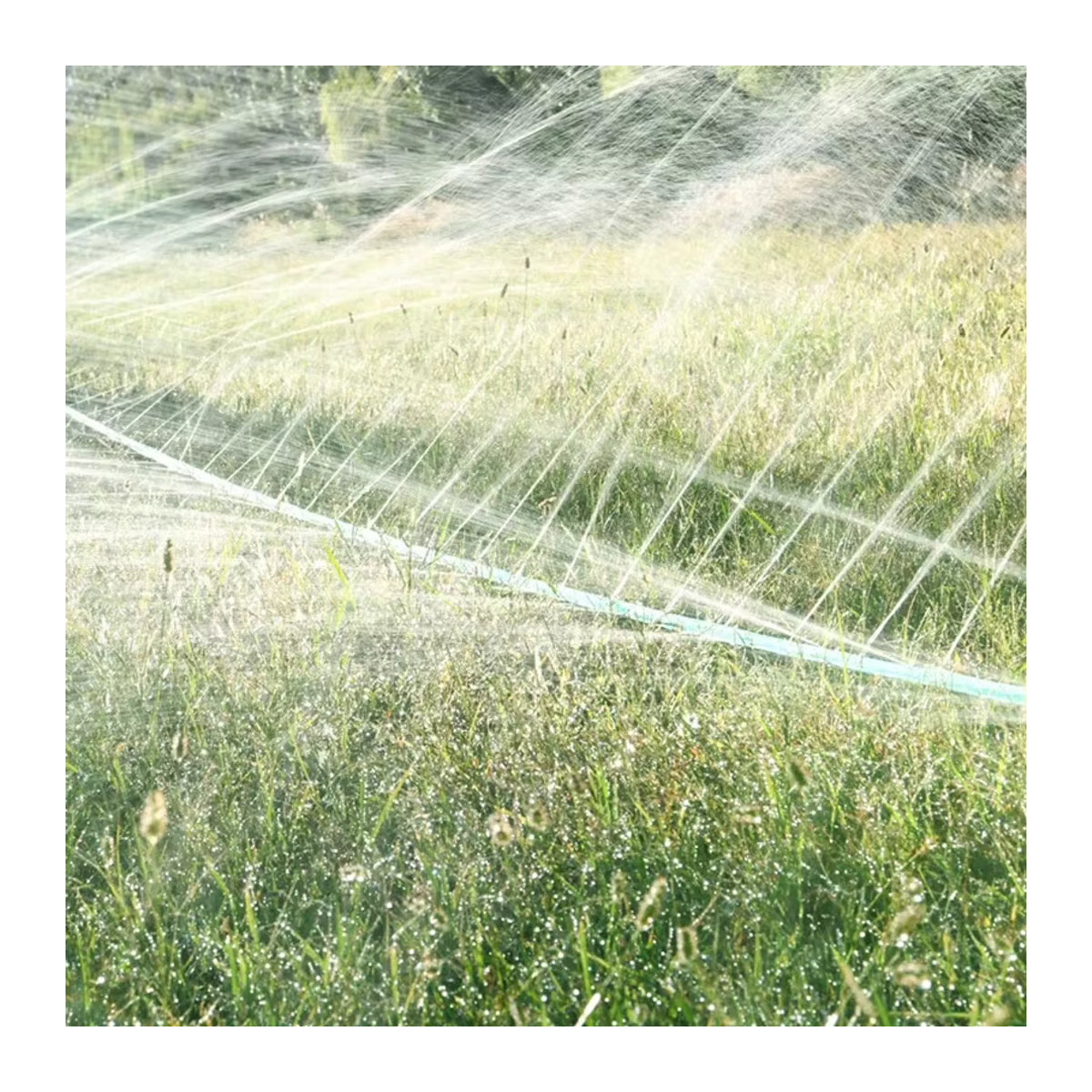 FOGWOWO Sprinkler Soaker Schlauch Set in Grün zur Garten- und Rasenbewässerung - Bild 5