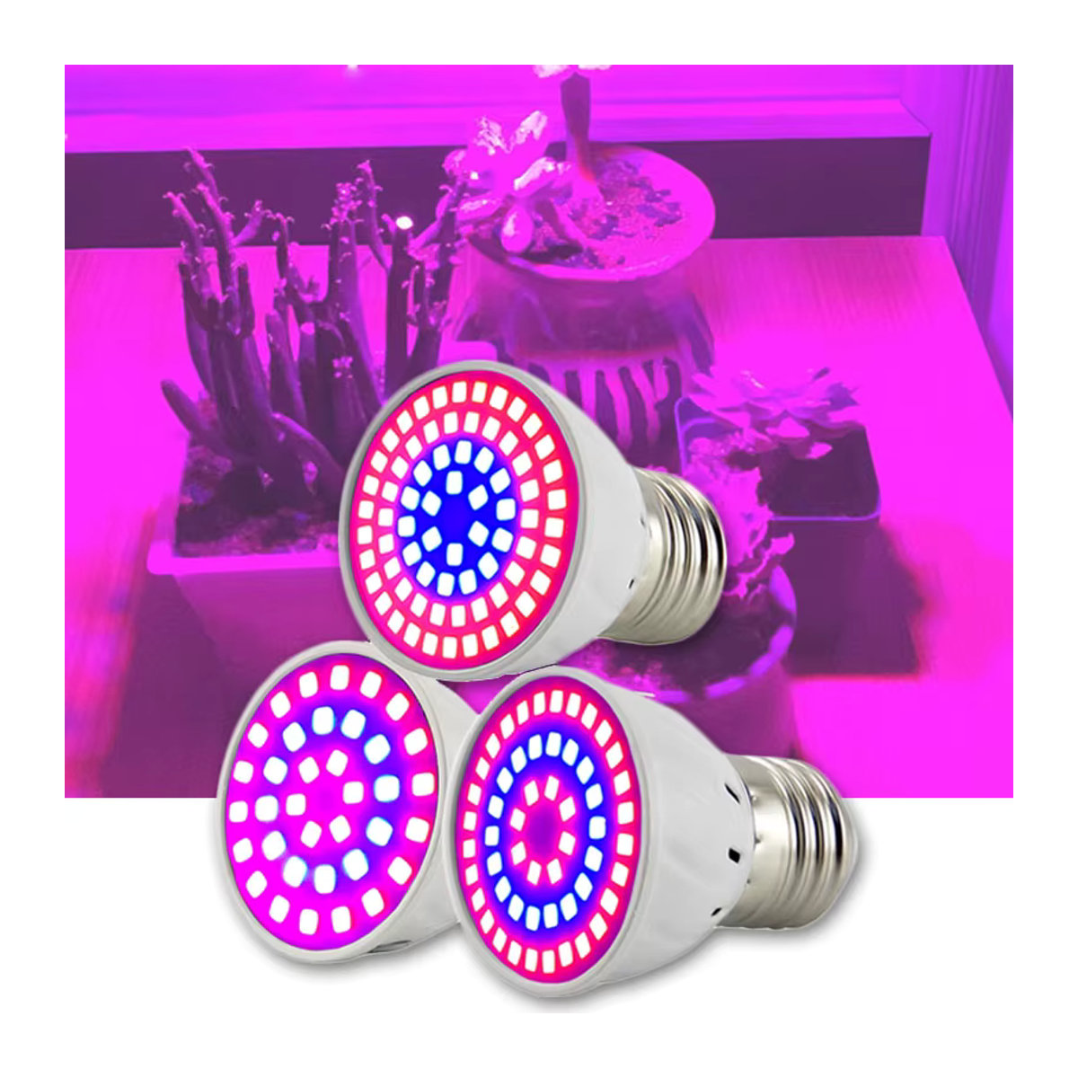 Gakaki LED Pflanzenwachstumslampe für Indoor-Gewächshäuser mit Rot-Blau-Licht für Hydroponik und Growboxen T1 - Bild 3
