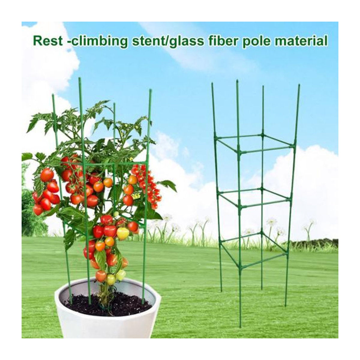 Galaiou Tomatenkäfig Set Grün, höhenverstellbares Gemüsespalier aus Fiberglas, Kunststoff und Metall zur Unterstützung von Kletterpflanzen und Blumen - Bild 5
