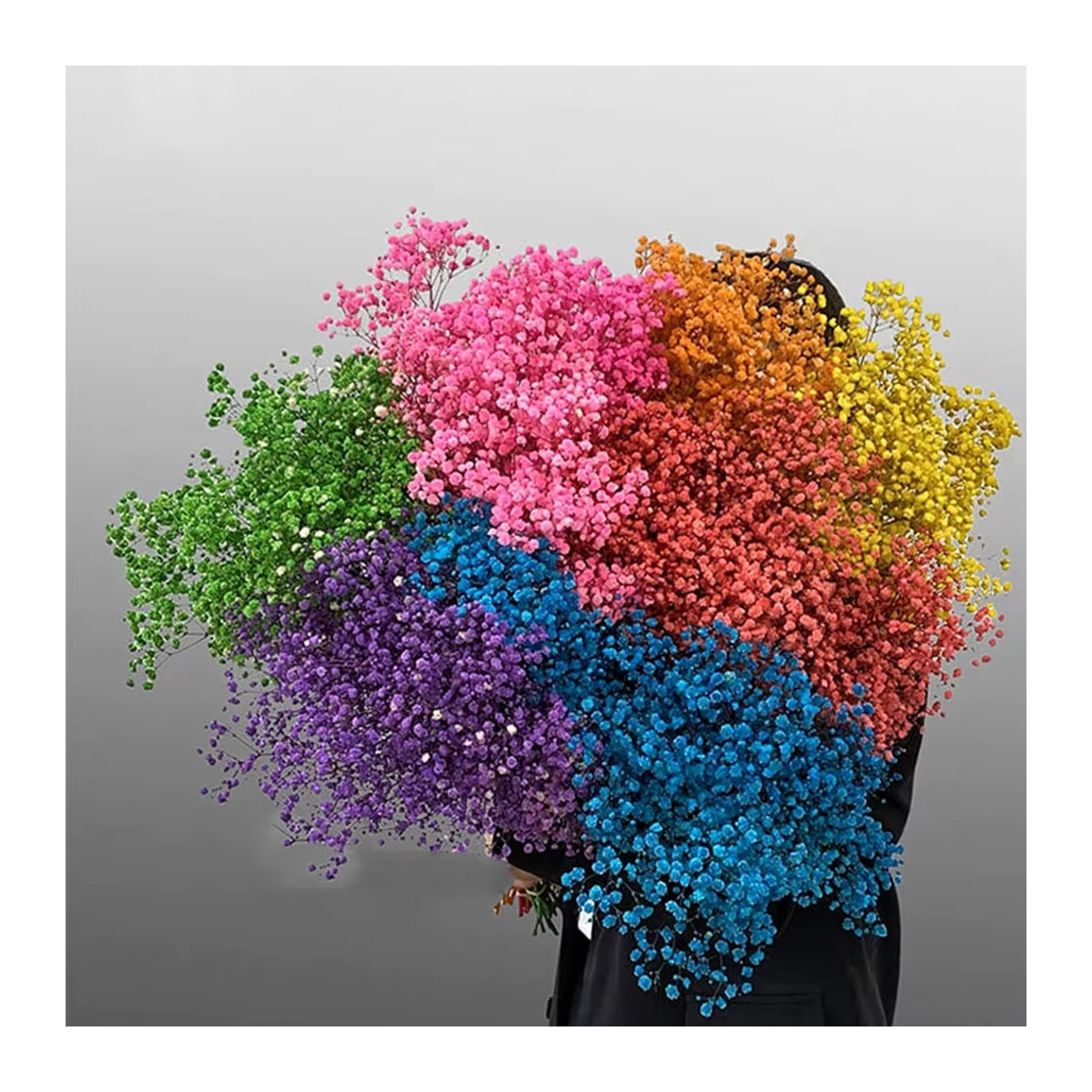 GARCIA Getrockneter Blumenstrauß Gypsophila paniculata in Blau und Weiß zur Hochzeits- und Heimdekoration - Bild 2