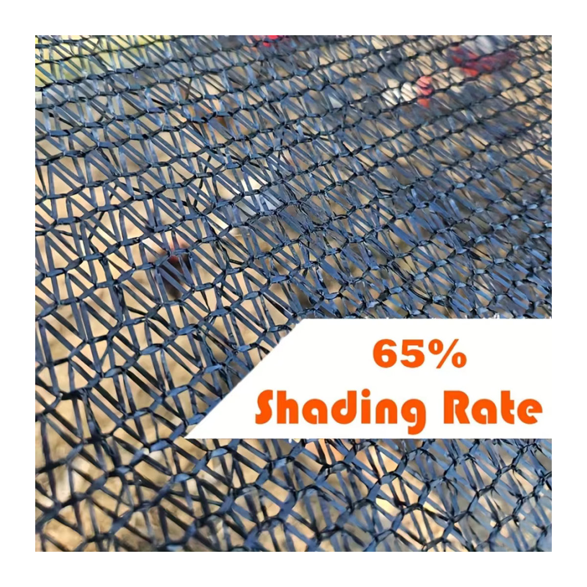 Gartensonnenschutznetz Schwarz mit 60% Schattenrate zum Schutz von Pflanzen und Gemüse - Bild 4