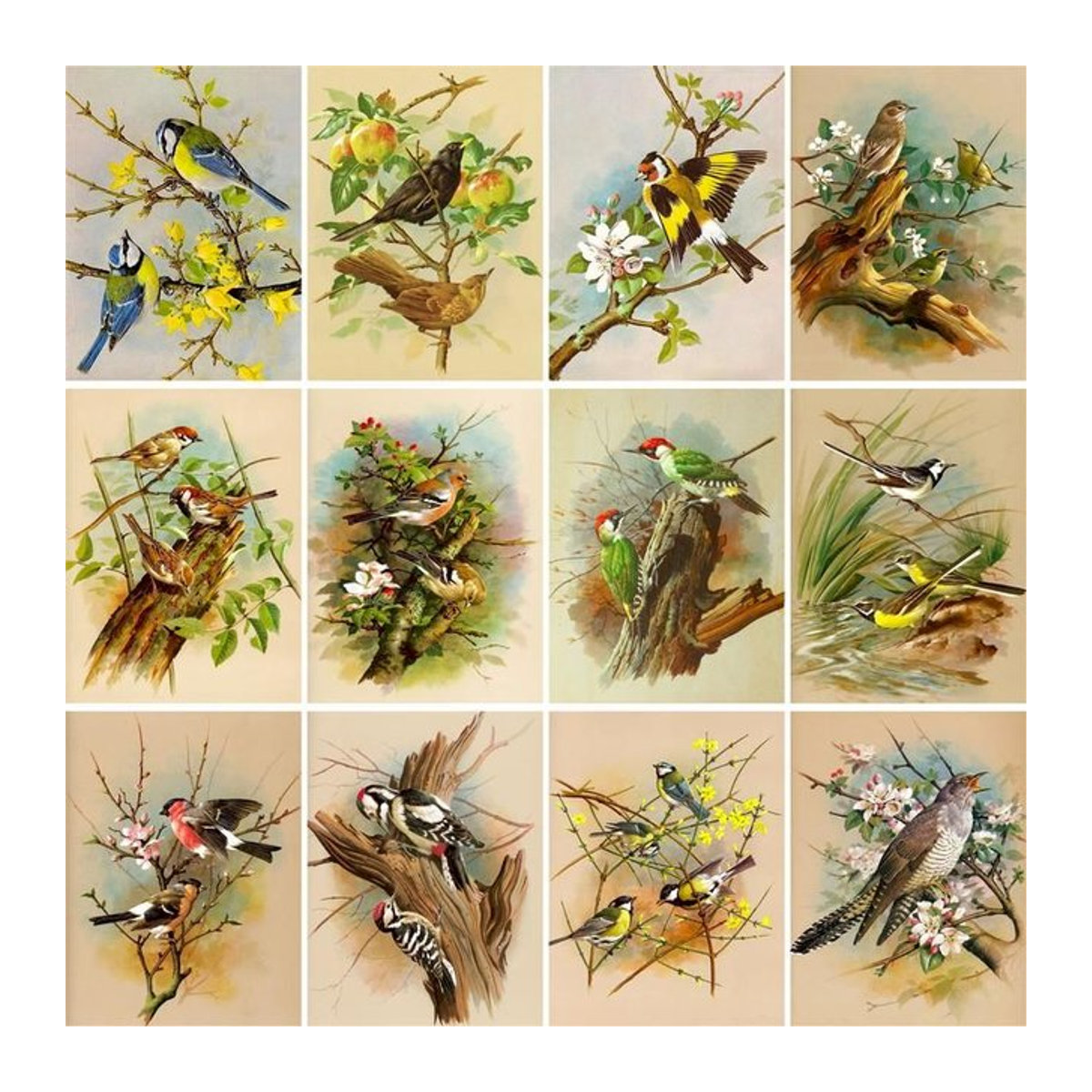 GATYZTORY Malen nach Zahlen Set mit Vögel-Motiv auf Leinwand, mehrfarbig und grau, Wandkunst im Hochformat - Bild 1