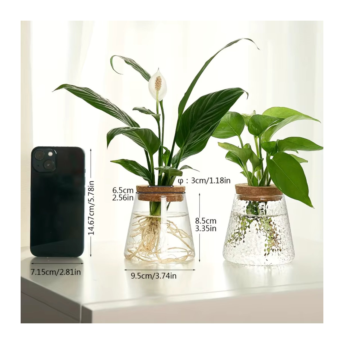 Glas Pflanzgefäß zur Pflanzenvermehrung als Hydroponik-Vase für Stecklinge und Schnittblumen, transparent - Bild 2