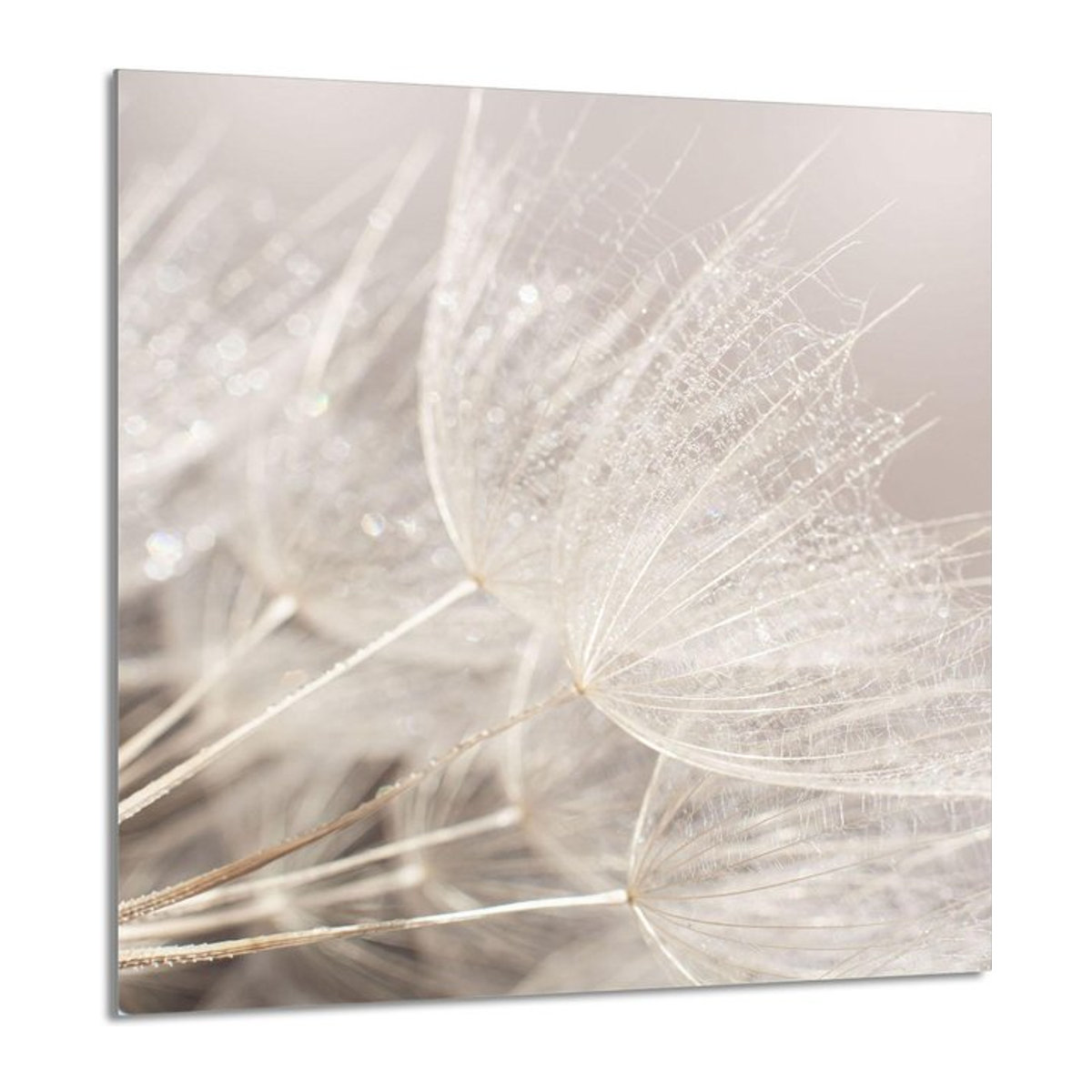 Glaspanel für die Küche mit Blumenmuster von Super Merchant, Breite: 60 cm, Höhe: 65 cm - Bild 1