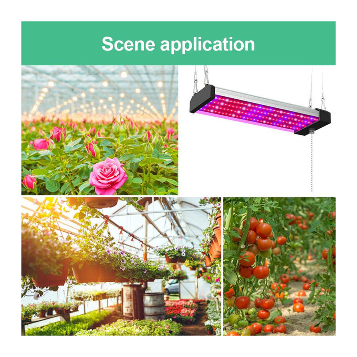 GoolRC LED-Wachstumslichter für Zimmerpflanzen mit Vollspektrum, verknüpfbar, 5000 K Tageslicht, Rot und Blau, IP20, 50 cm - Bild 7