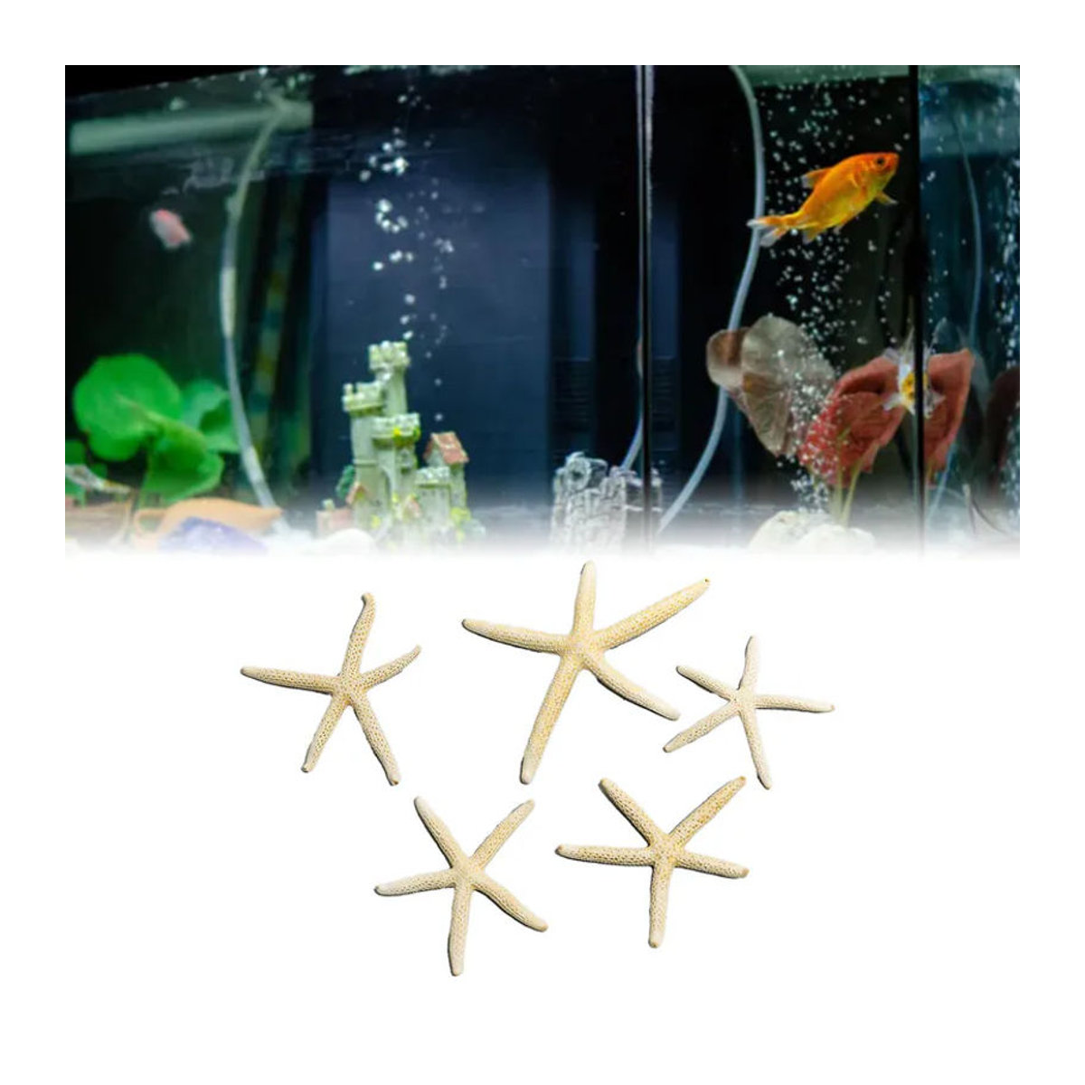 GoolRC Seestern Deko Set in Weiß für dein Aquarium und maritime Dekorationen - Bild 2