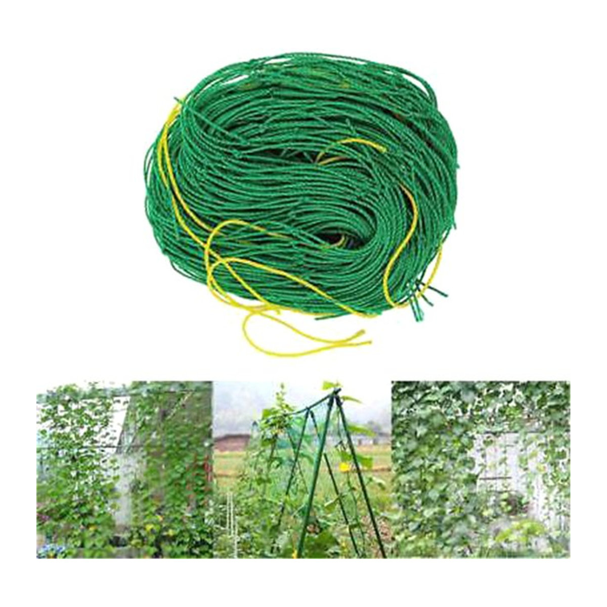 Grünes Nylon-Klettergitter als Pflanzenschutznetz zur Unterstützung von Bohnen und Kletterpflanzen im Garten - Bild 1
